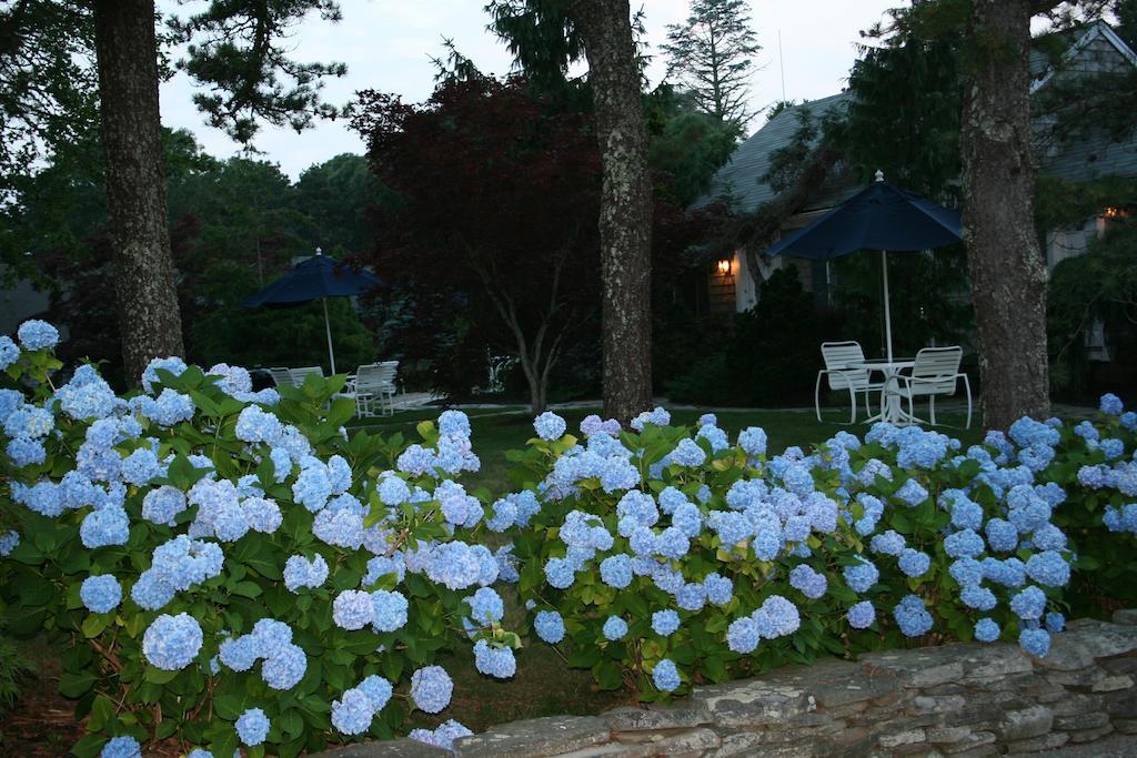 Pleasant Bay Village Resort Chatham Exteriör bild
